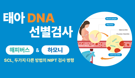 태아 DNA 선별검사 : 해피버스 & 하모니